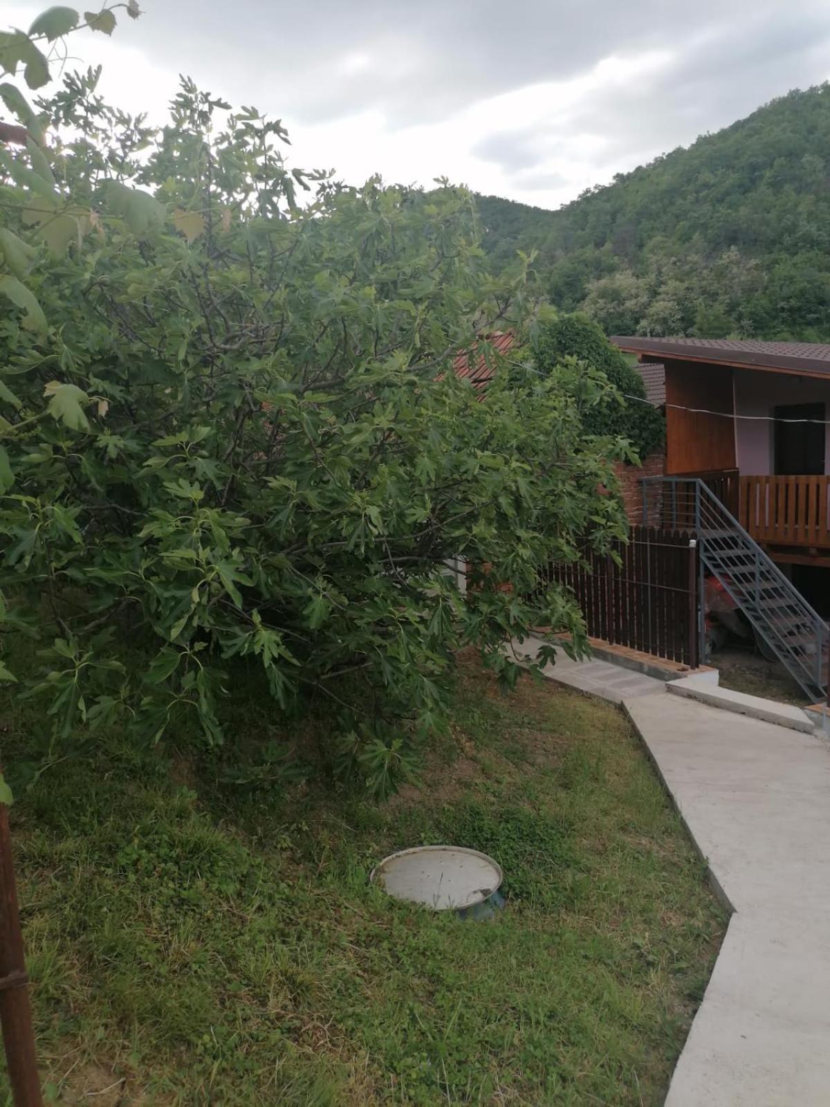 La Casuta Villa Dubova Ngoại thất bức ảnh